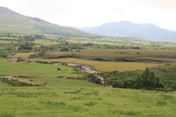 Caragh land reclamation river re contouring