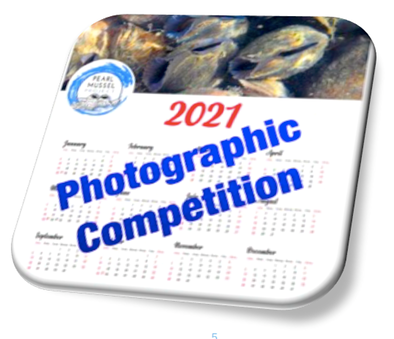 Comp 2020 logo thru Word