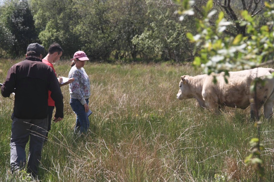 Farm advisor Field Training Kerry 2019_3