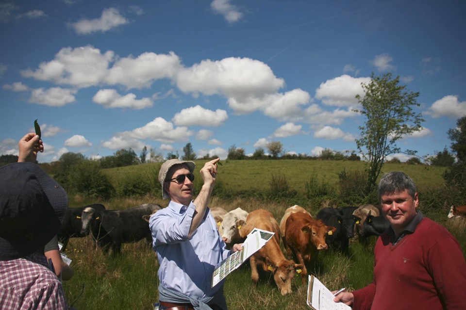 Farm advisor Field Training Kerry 2019