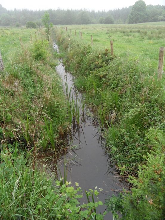 farm drain nutrient and silt runoff