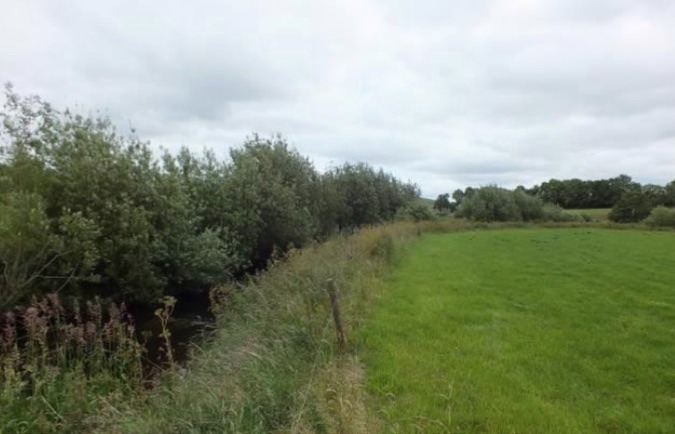 Fencing riparian areas to protect rivers Duhallow LIFE