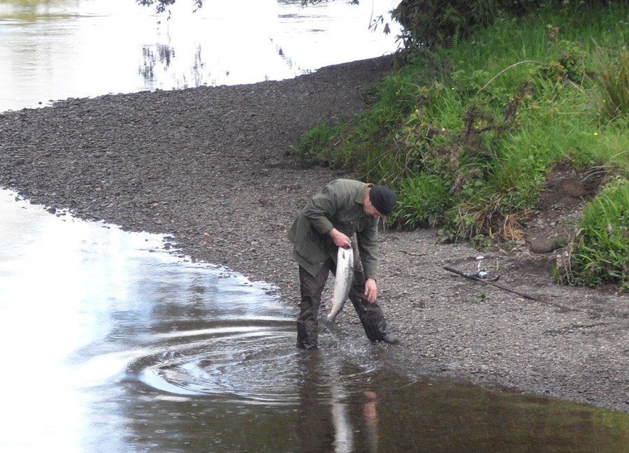 Fishery management