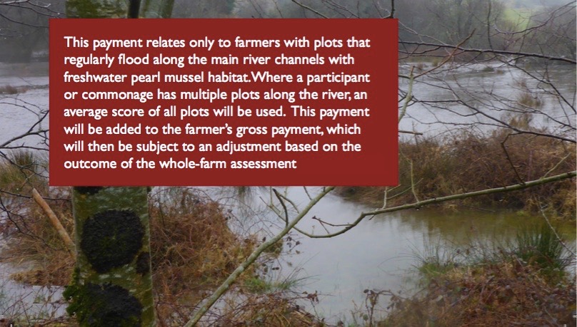 Floodplain 2 with text