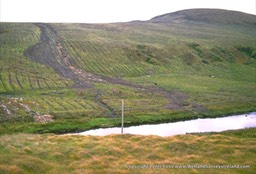 forestry bog burts silt to river