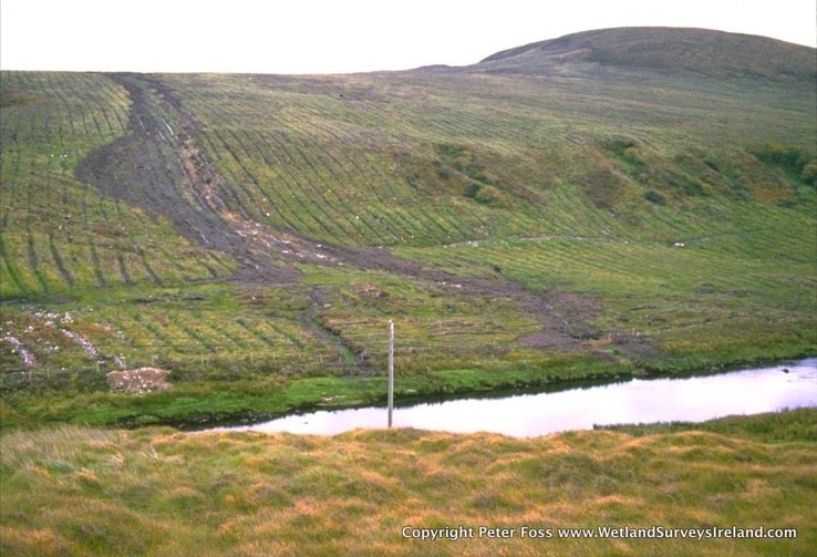 forestry bog burts silt to river