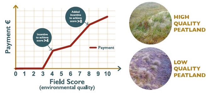 HabQualityAssess2020