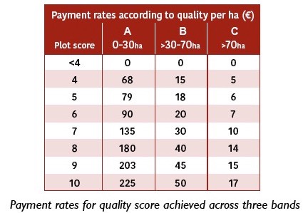 Payment rates bands 2020b